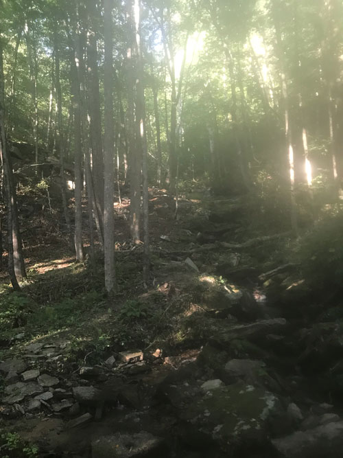 the climb up to the waterfalls